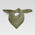 Multi Line Border, Olive/Beige