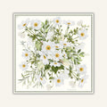 Bianco Fiorita